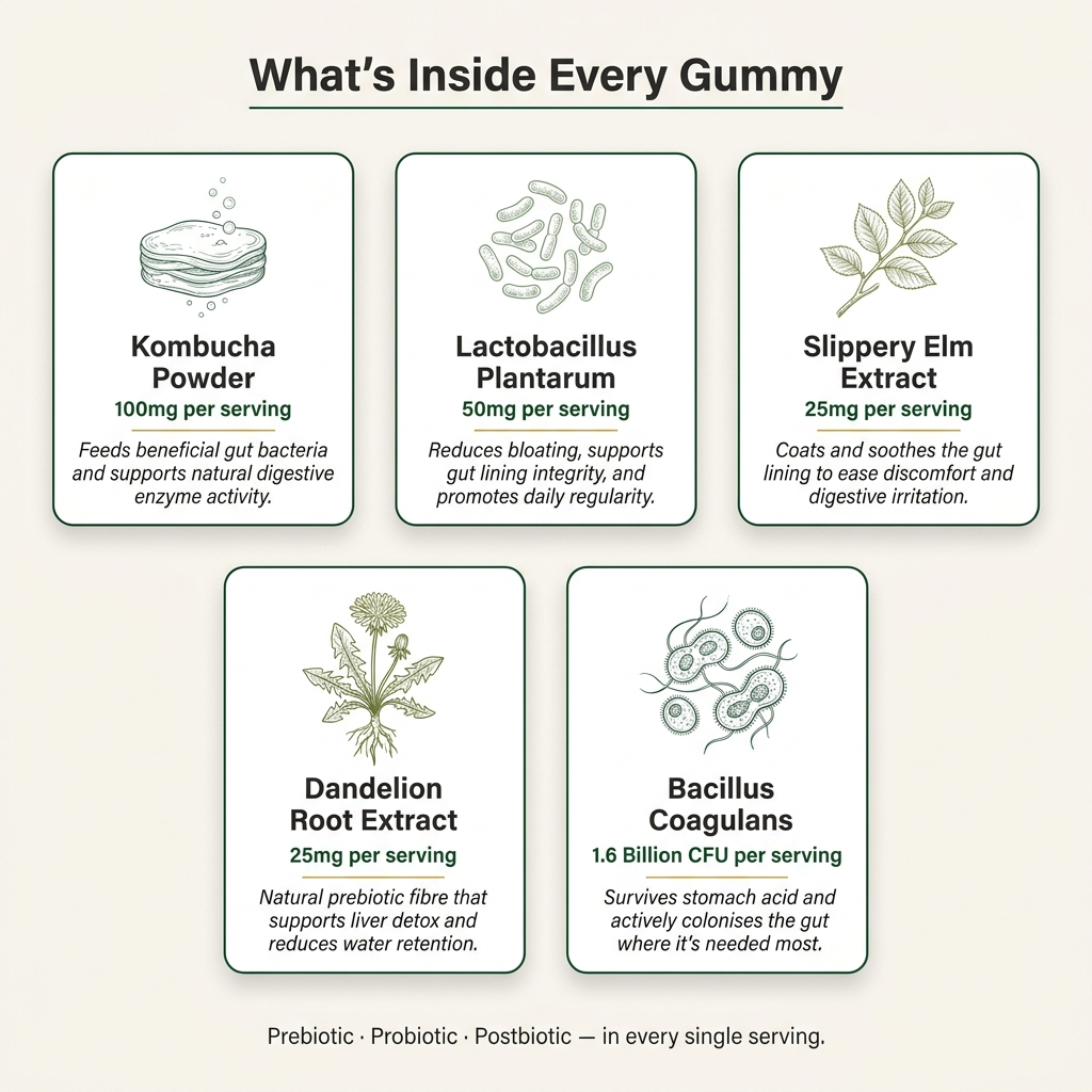 Nuvio Kombucha Gummies