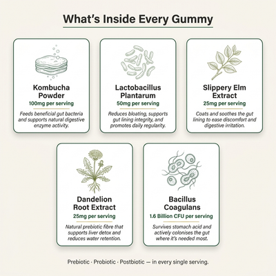 Nuvio Kombucha Gummies