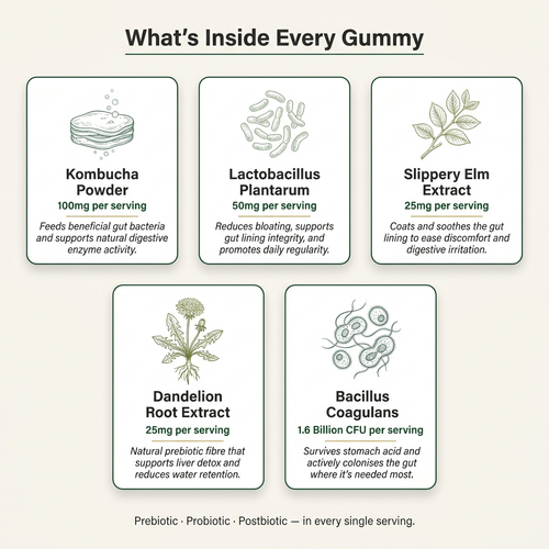 Nuvio Kombucha Gummies